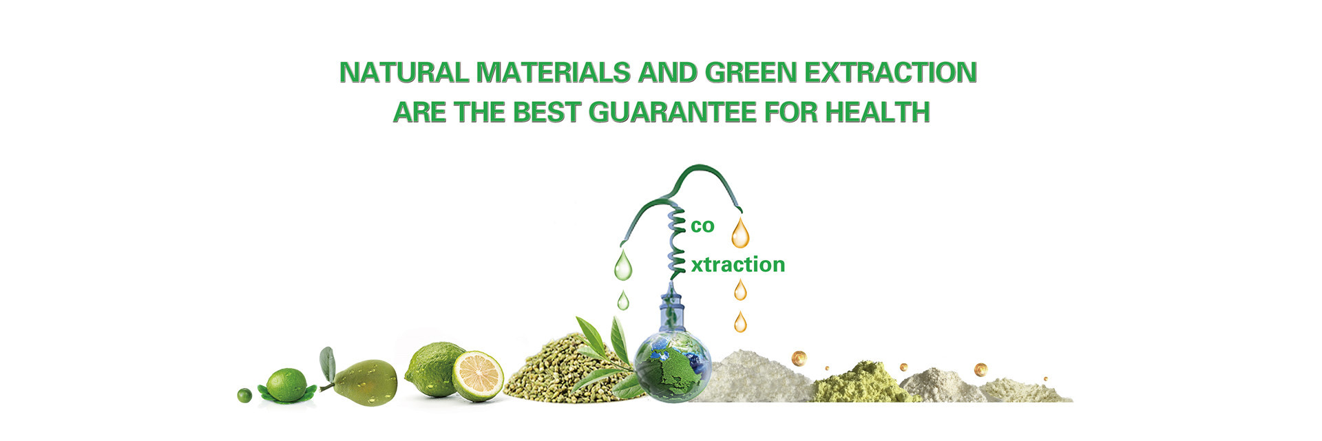 quality Citrus Extract Powder factory