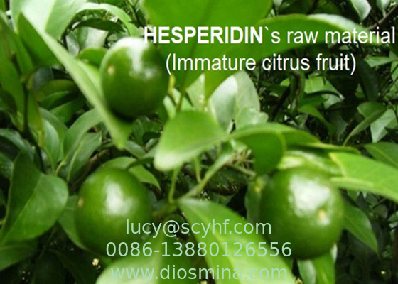quality Citrus Sinensis Extract Hesperidin Powder 85.0%-97.0% By HPLC For Pharmaceutical and supplements factory